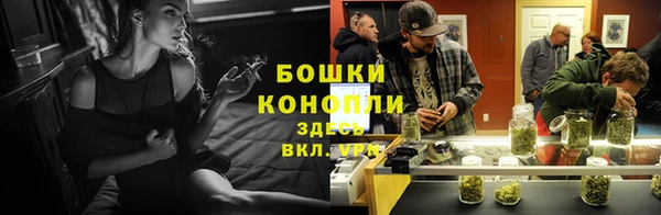 винт Няндома