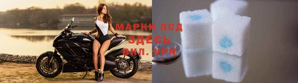 прущие грибы Михайловск