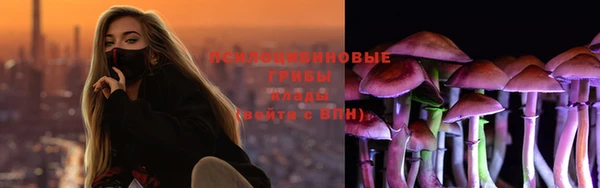 соль ск Мегион