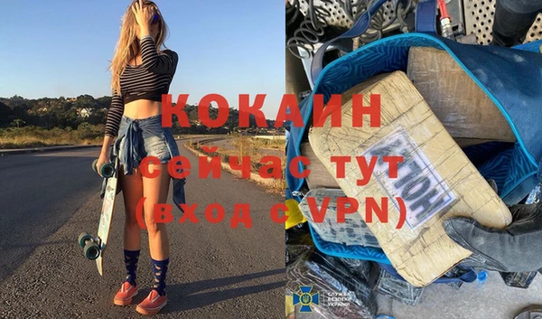 прущие грибы Михайловск