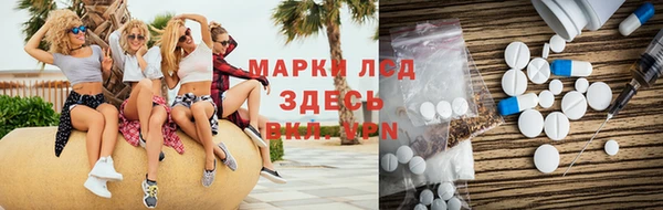 прущие грибы Михайловск