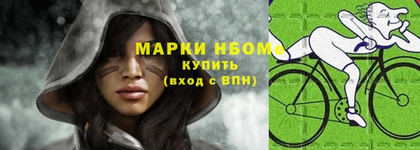 прущие грибы Михайловск