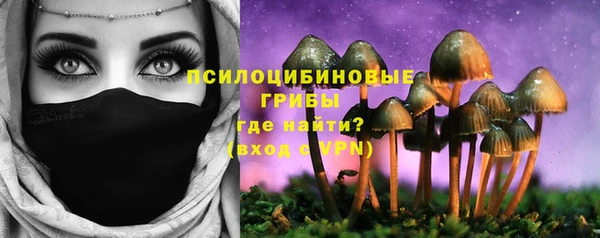 дурь Медногорск