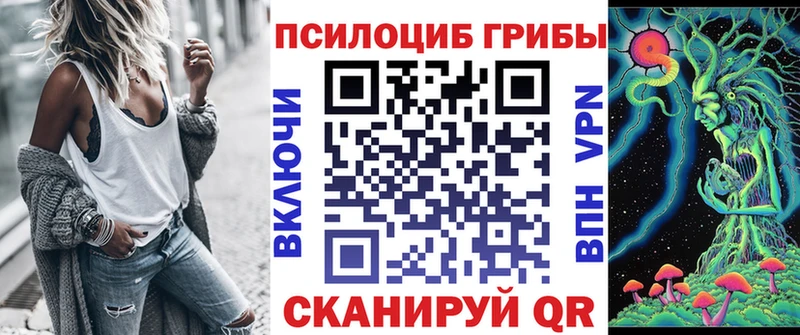 МЕГА зеркало  цена наркотик  Ливны  Псилоцибиновые грибы GOLDEN TEACHER 