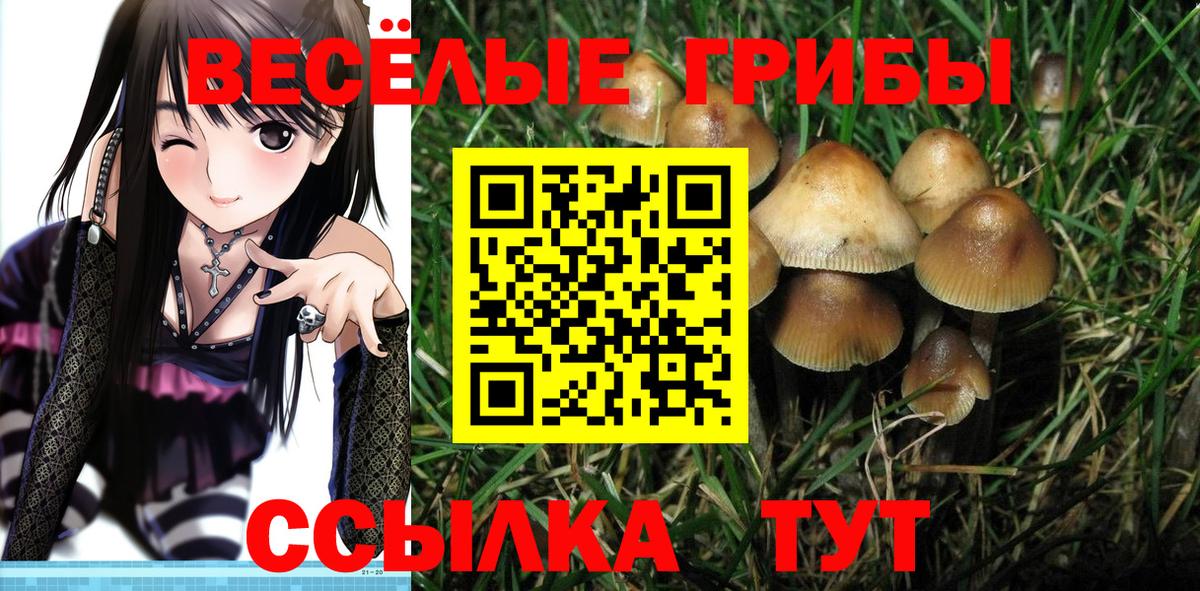 Галлюциногенные грибы прущие грибы  Псилоцибиновые грибы мухоморы  наркошоп  Вход с VPN  Ливны 